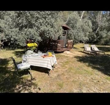 Roulotte / Tiny House Dans Les Alpilles Hotel Saint-Remy-de-Provence Luaran gambar